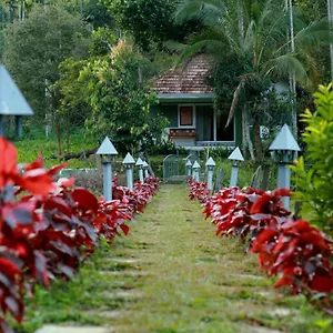 https://resort-ayurnest-wayanad.kerala-hotels.net